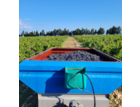 Tracteur et benne de raisins
